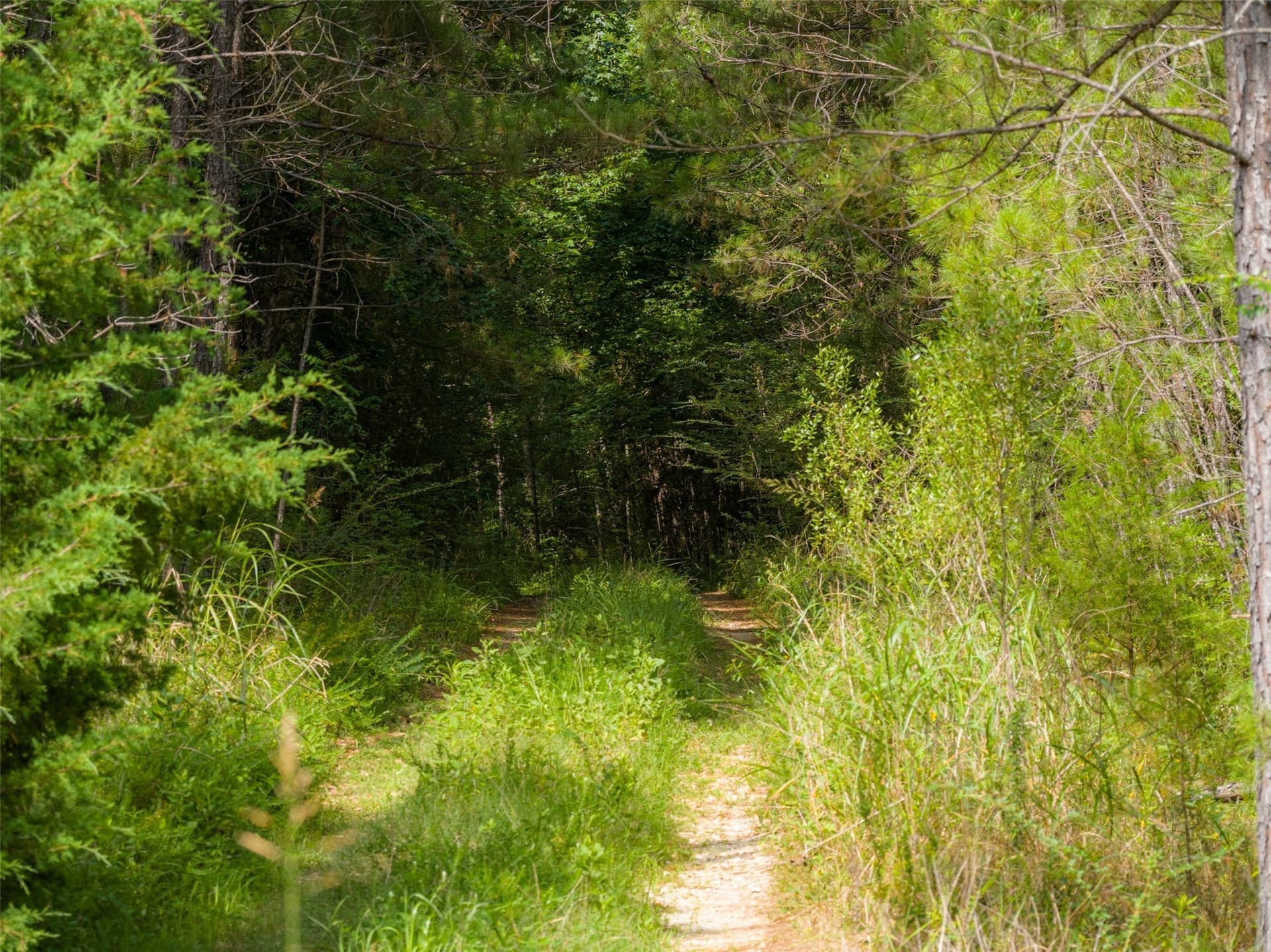 63.52 acres in Rusk County - photo 33