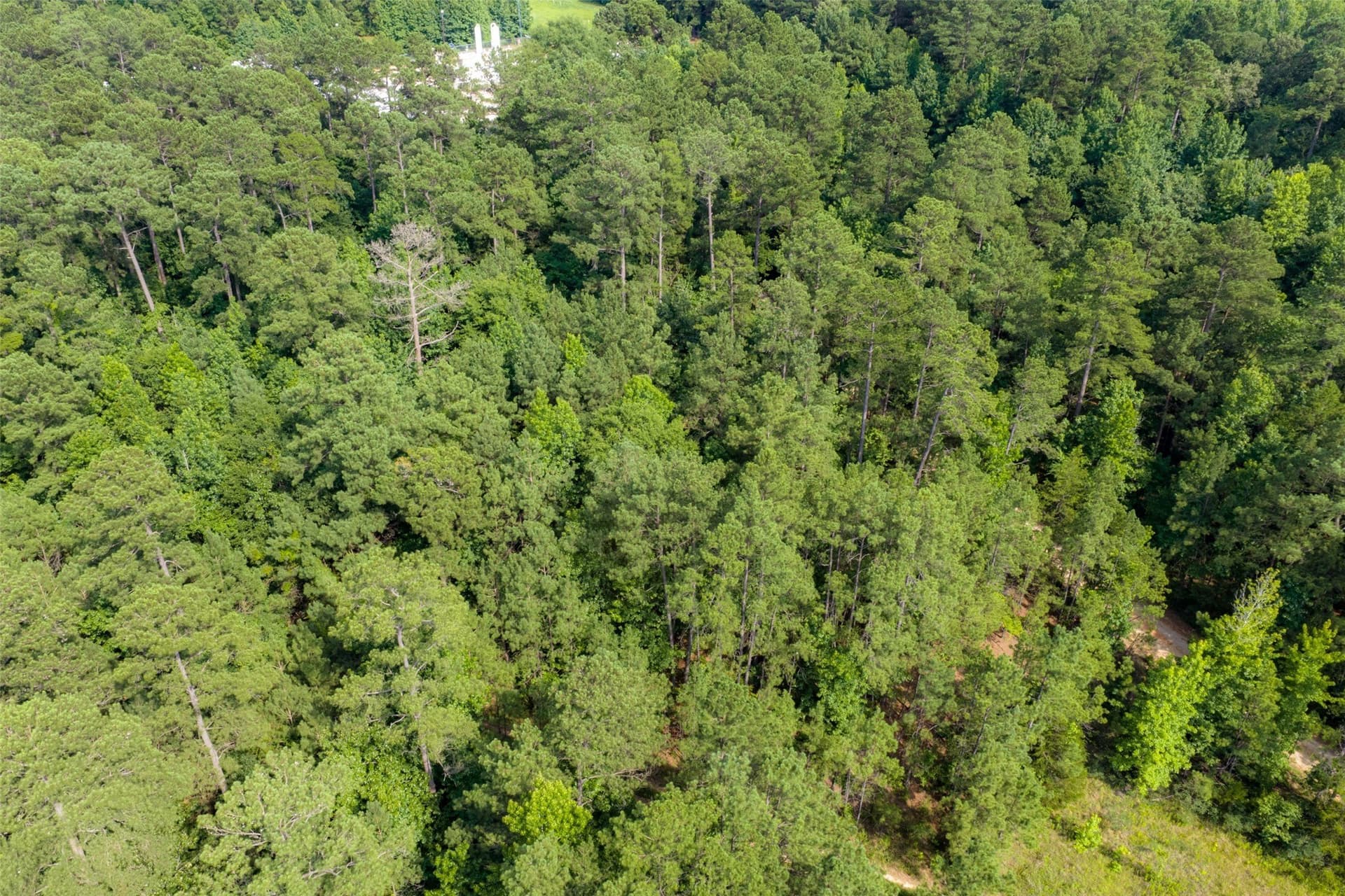 63.52 acres in Rusk County - photo 8