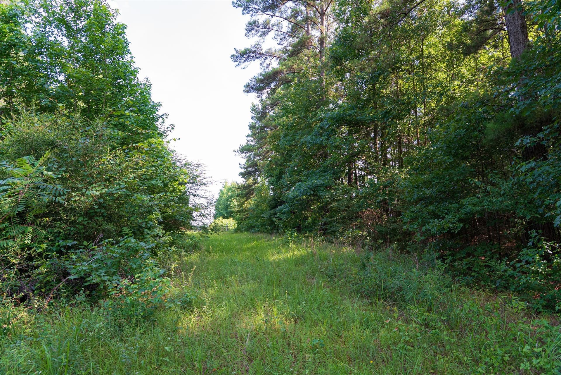 63.52 acres in Rusk County - photo 30
