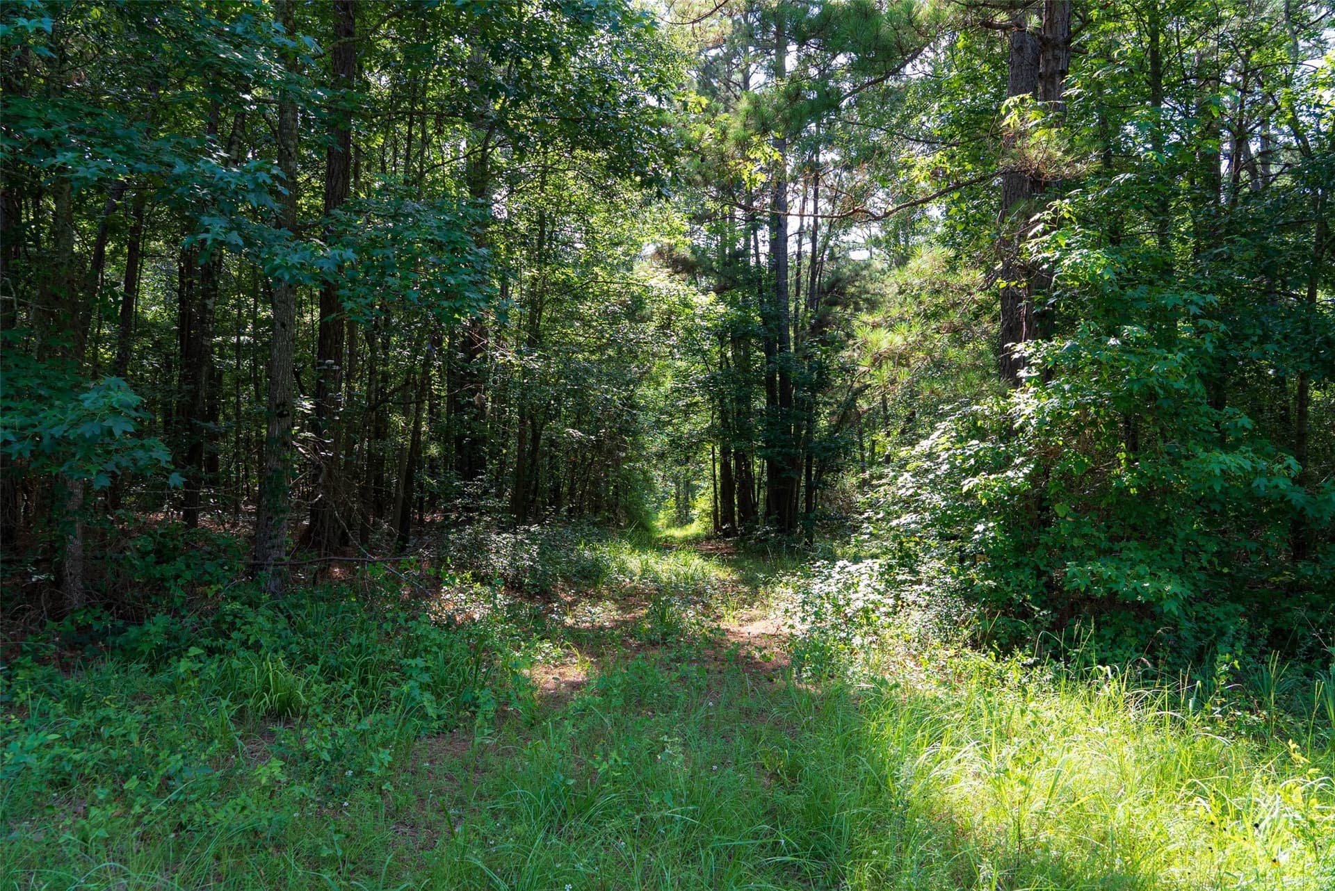 63.52 acres in Rusk County - photo 22
