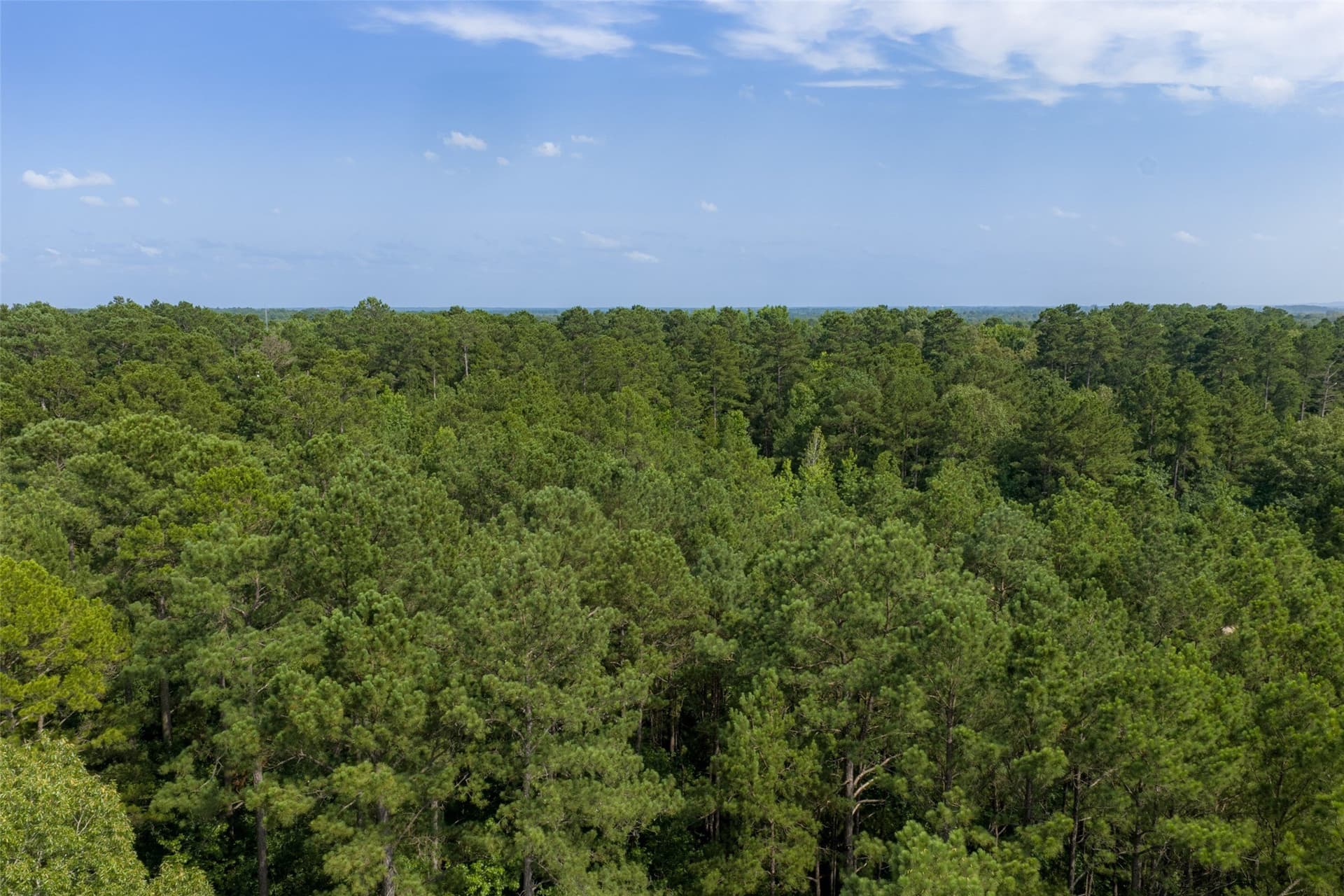 63.52 acres in Rusk County - photo 24