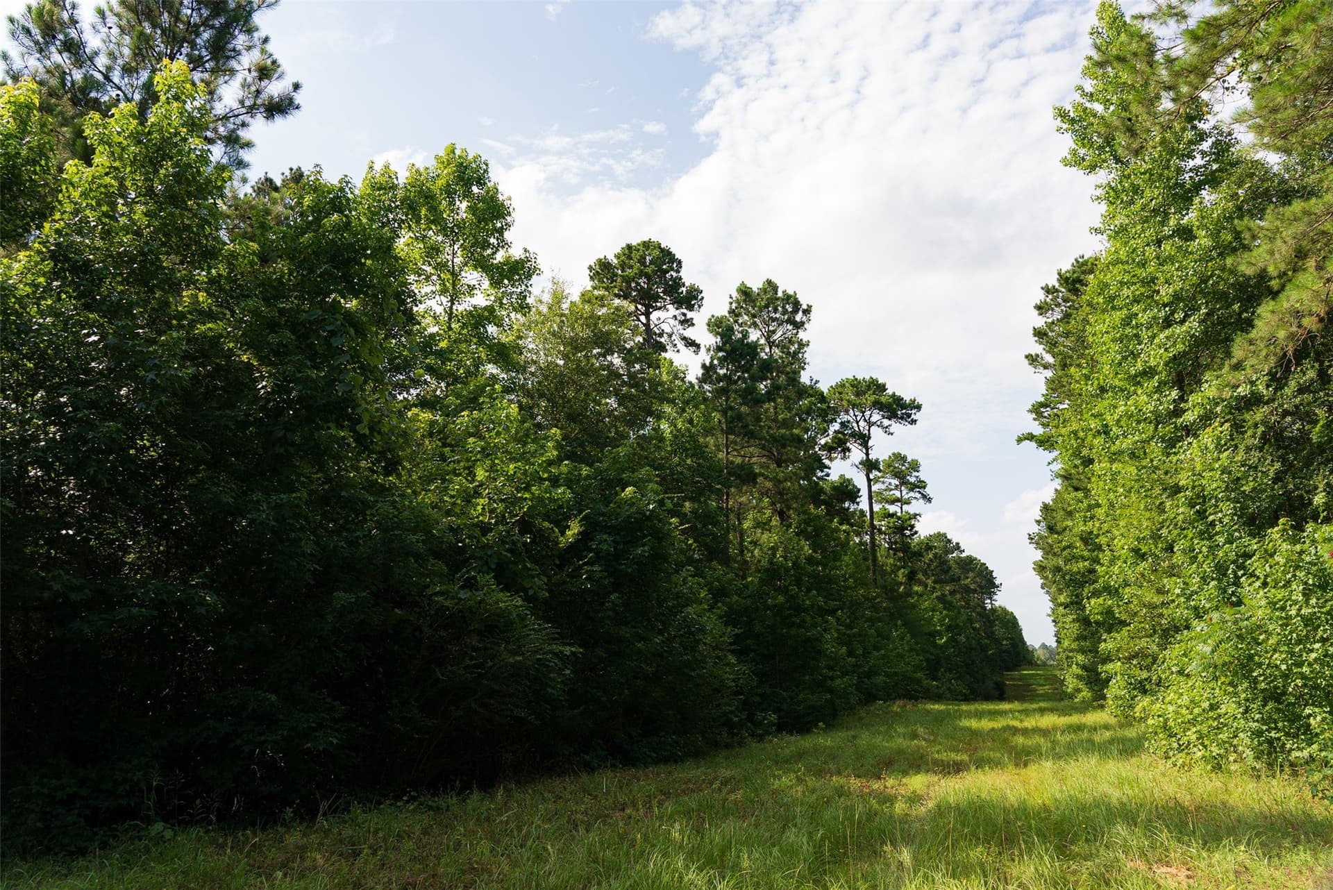 63.52 acres in Rusk County - photo 20