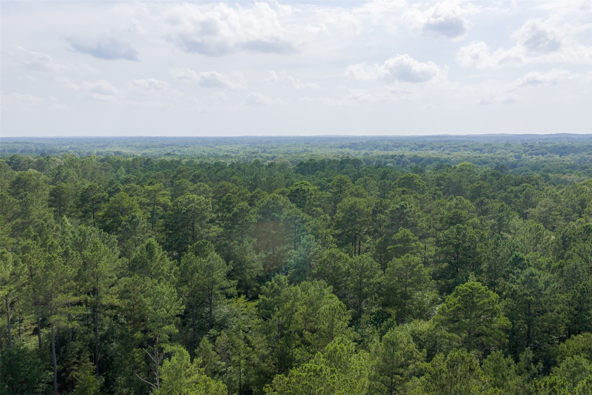 63.52 acres in Rusk County - photo 36
