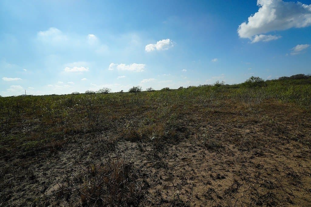 10 acres in Fayette County - photo 16