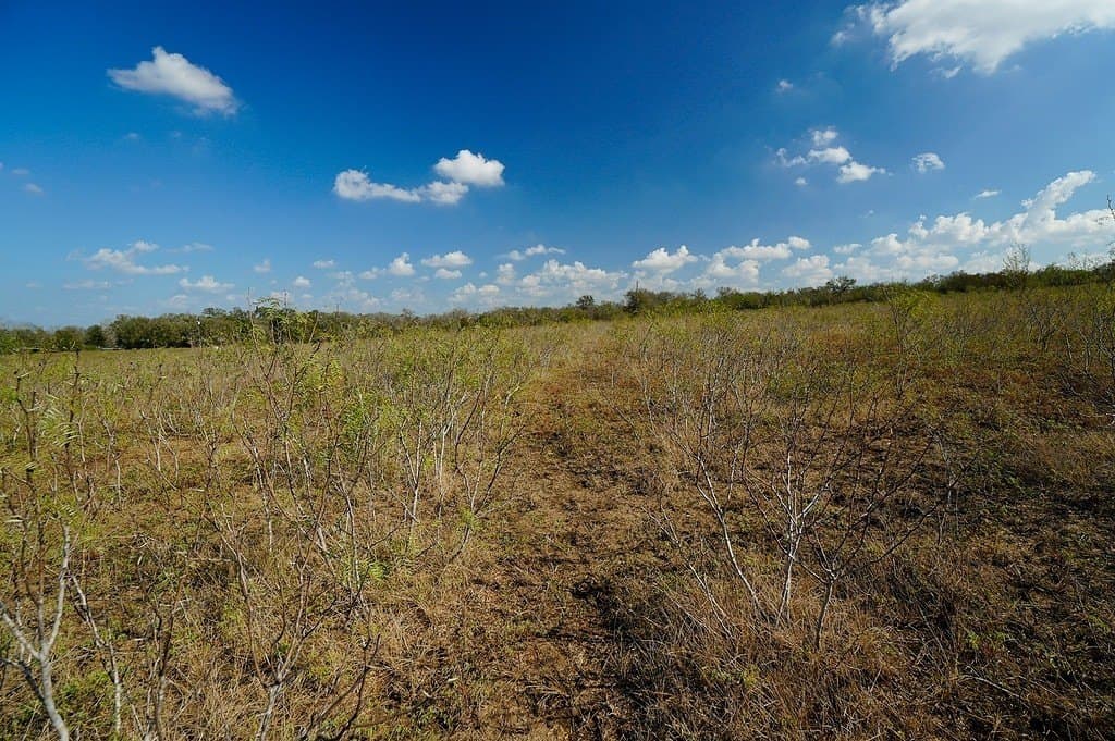 10 acres in Fayette County