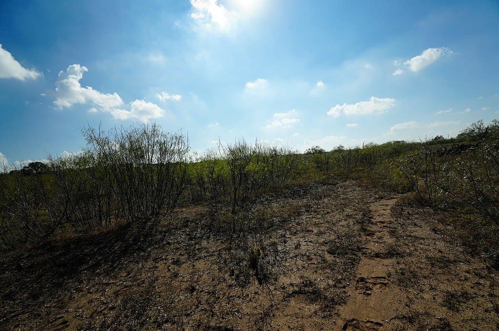 10 acres in Fayette County - photo 13