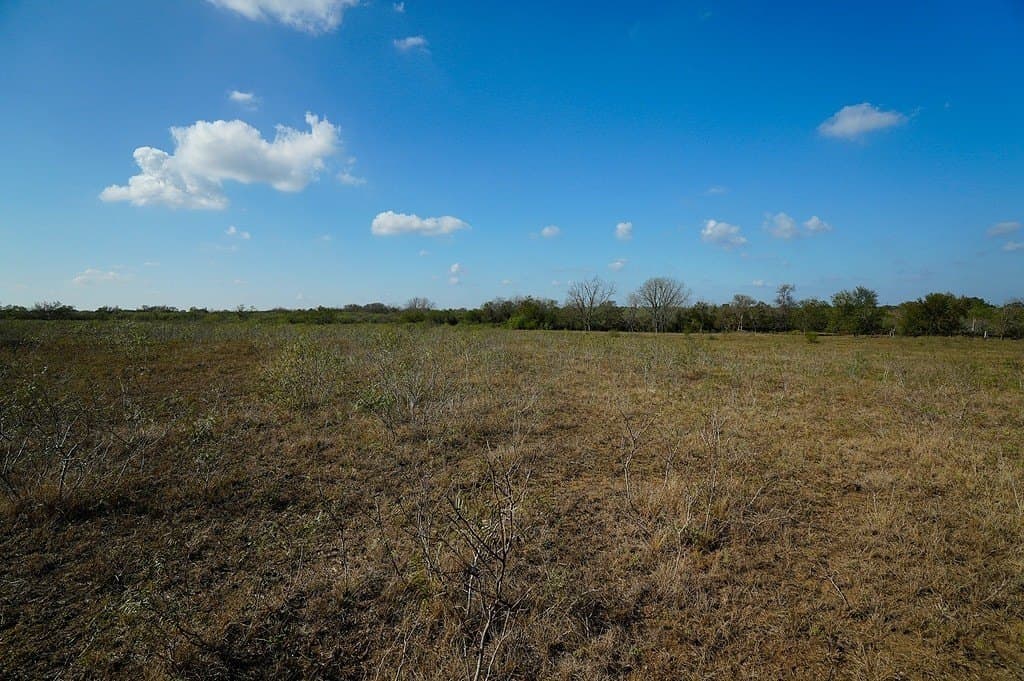 10 acres in Fayette County - photo 4