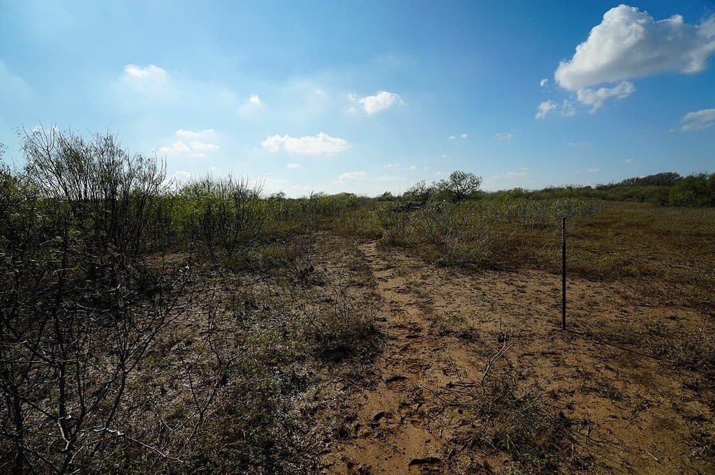 10 acres in Fayette County - photo 11