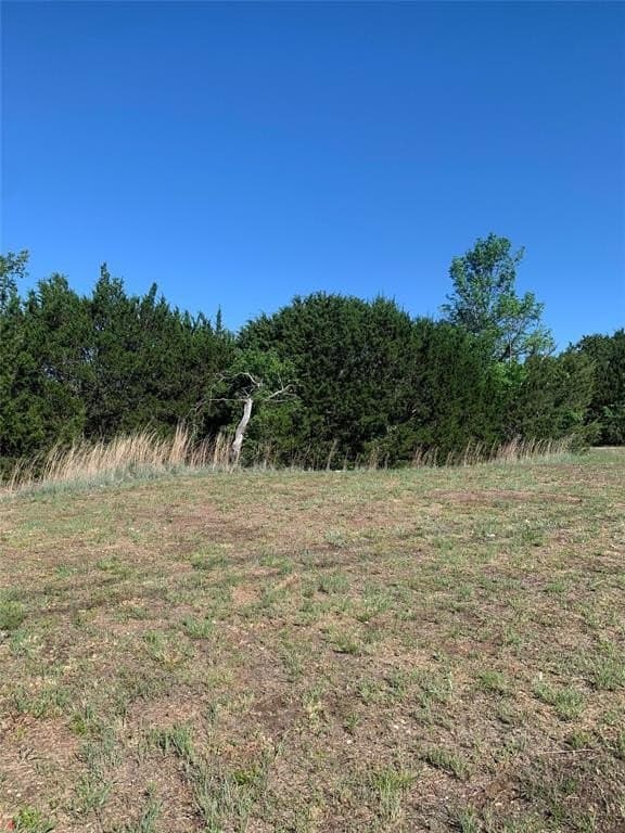 0.3 acres in Hood County gallery image 2