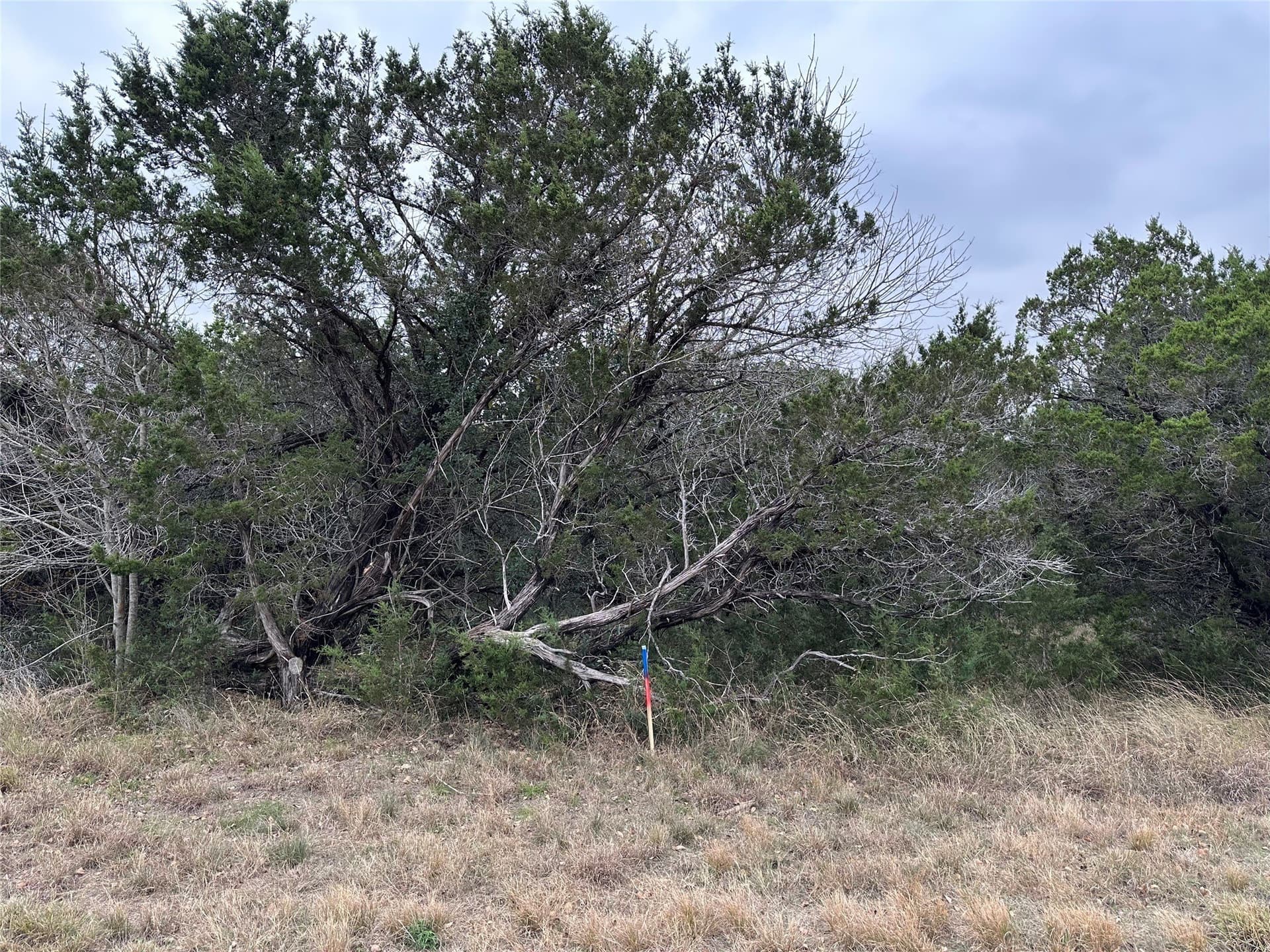 0.34 acres in Johnson County - photo 2