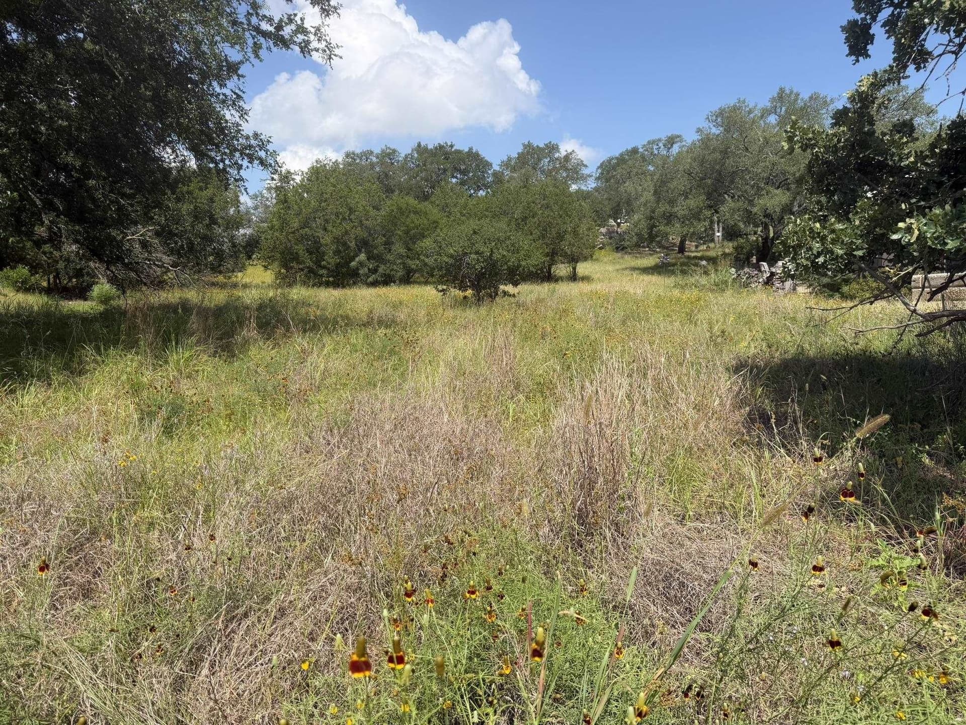 0.21 acres in Llano County gallery image 4