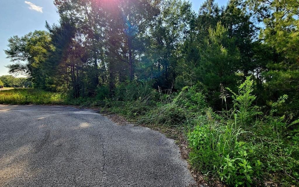 1.18 acres in Texas County