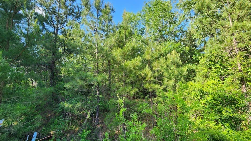 1.18 acres in Texas County gallery image 2