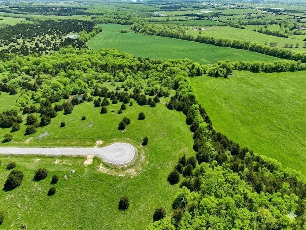 11.02 acres in Fannin County gallery image 2