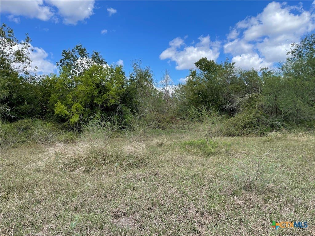 10 acres in Victoria County - photo 9