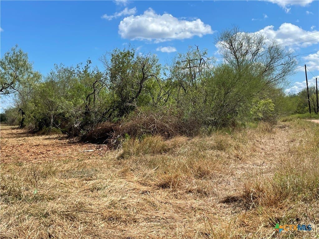 10 acres in Victoria County - photo 6