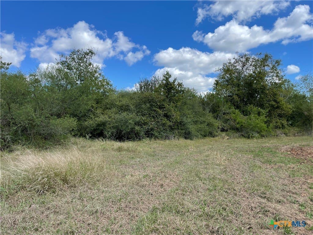 10 acres in Victoria County - photo 10