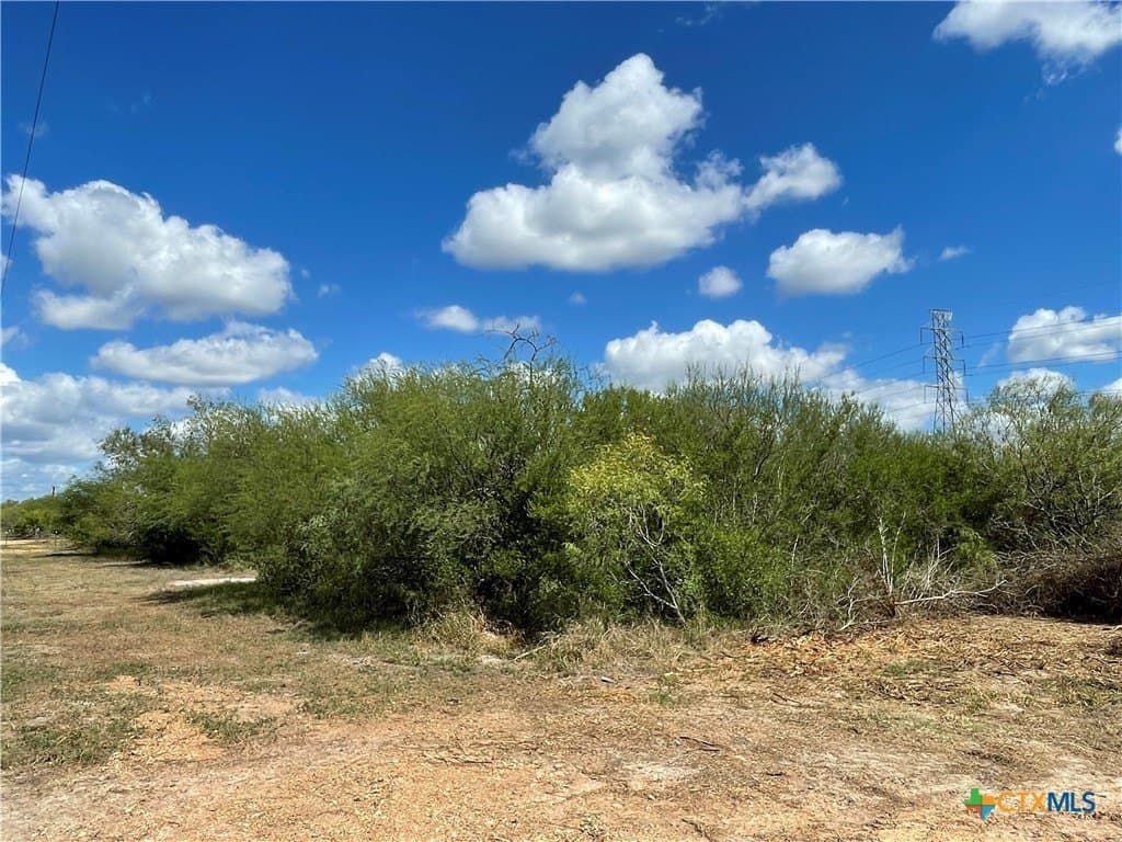 10 acres in Victoria County gallery image 4