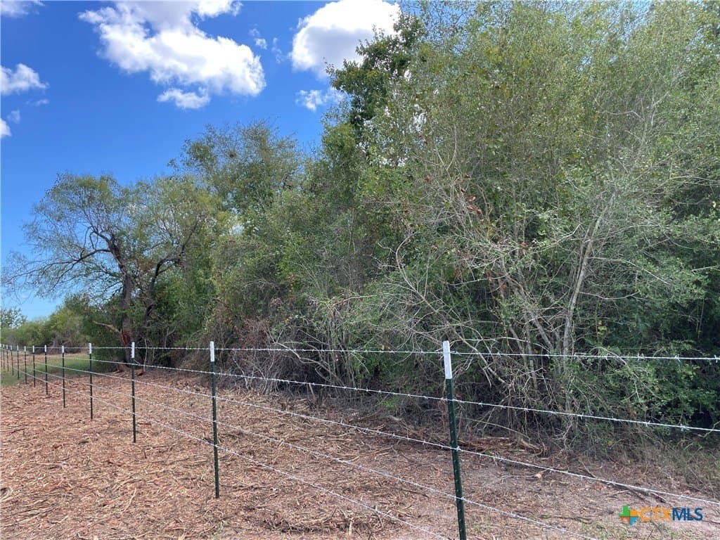 10 acres in Victoria County - photo 11