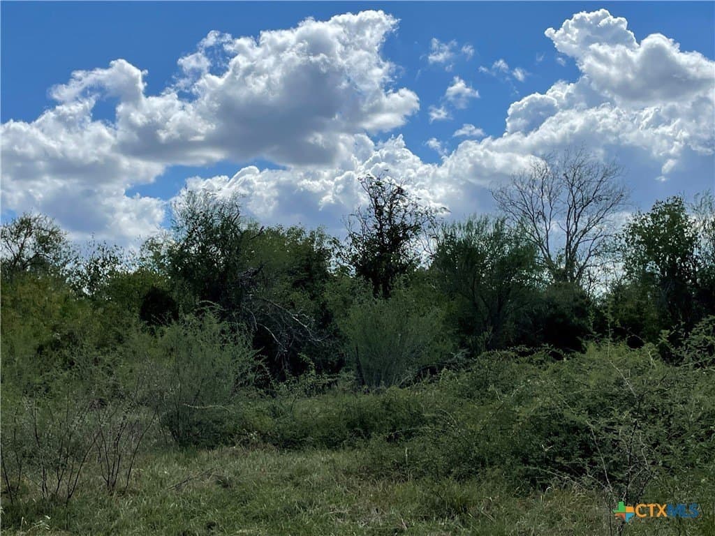 10 acres in Victoria County - photo 12