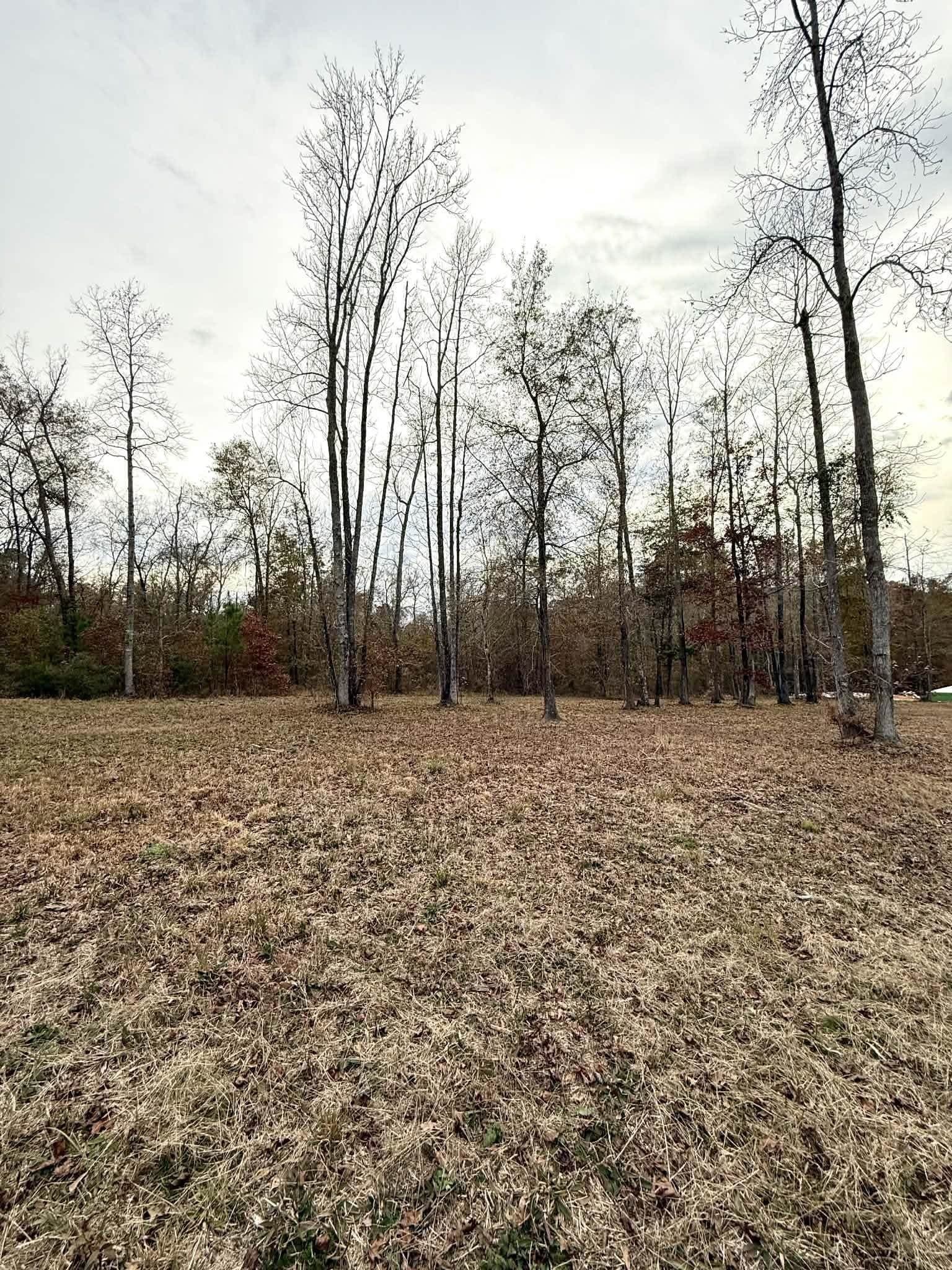 1.02 acres in Harrison County gallery image 3