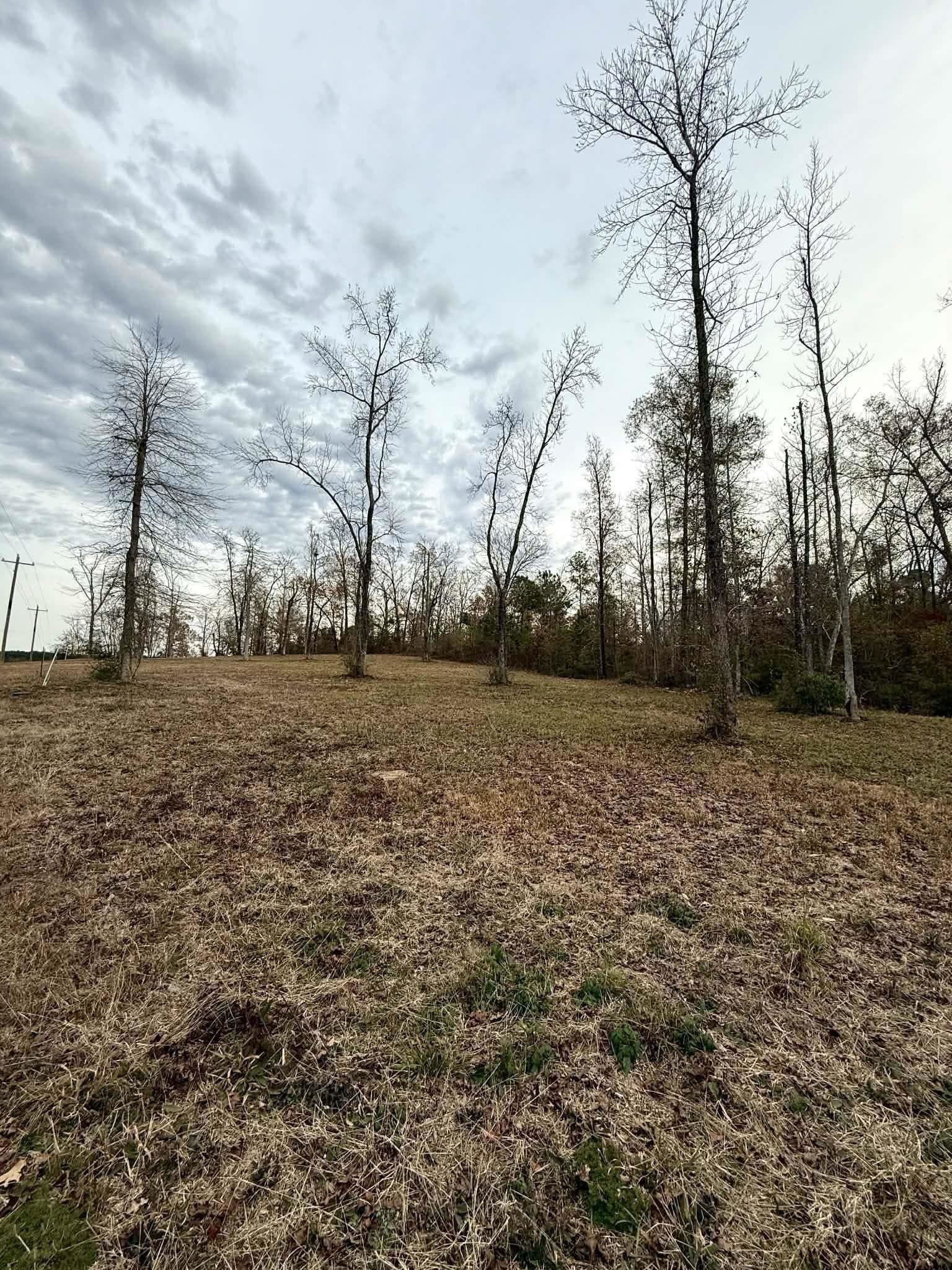 1.02 acres in Harrison County gallery image 4