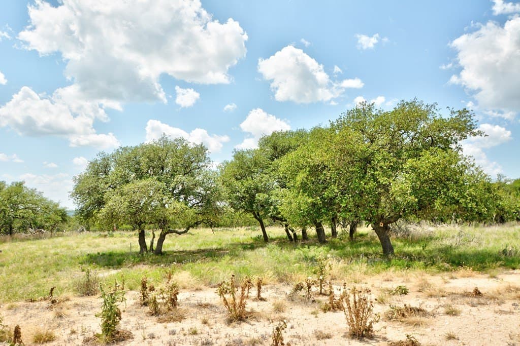 10.71 acres in Kimble County gallery image 2