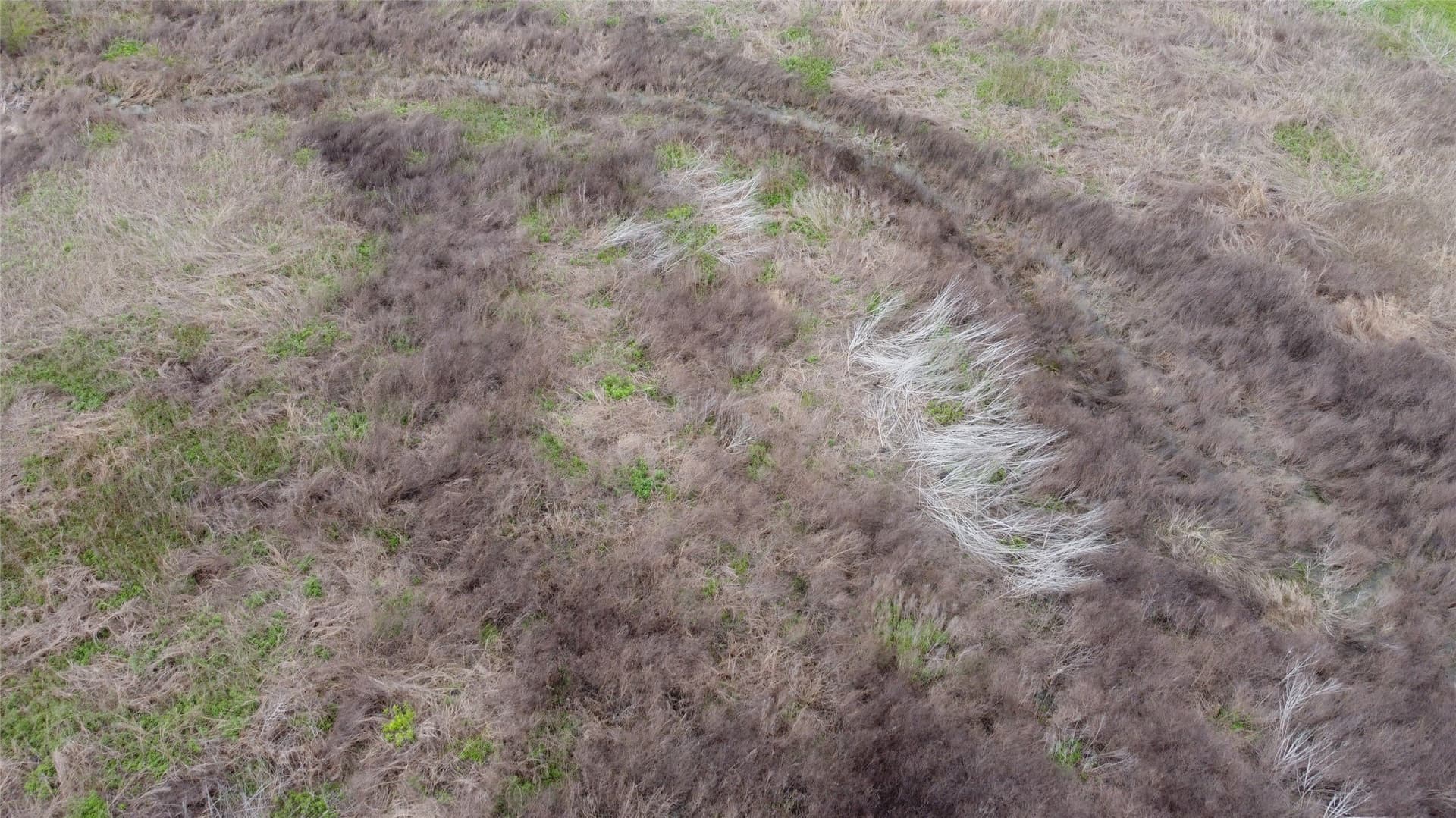 10.01 acres in Limestone County - photo 7