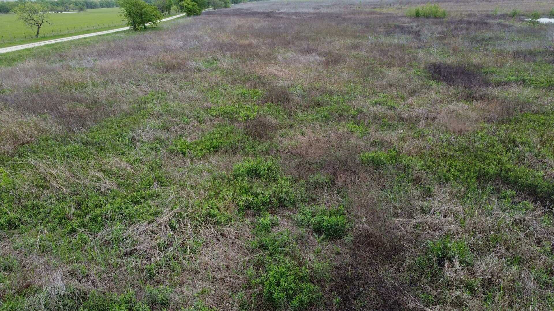 10.01 acres in Limestone County - photo 15