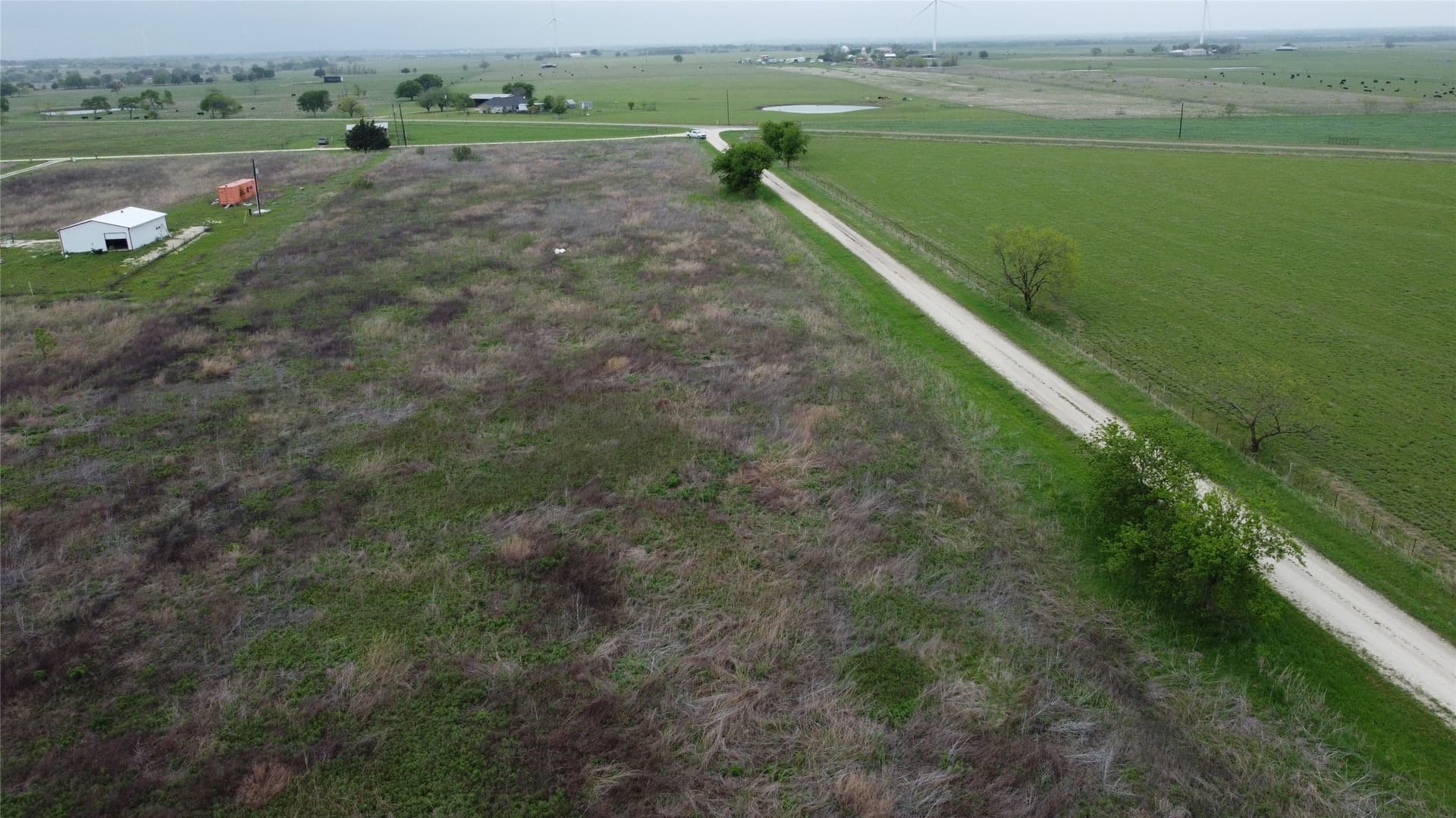 10.01 acres in Limestone County - photo 8