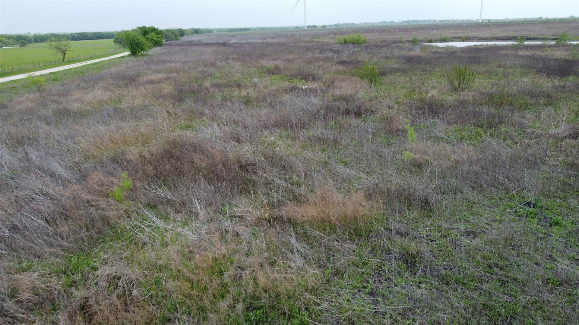 10.01 acres in Limestone County - photo 14