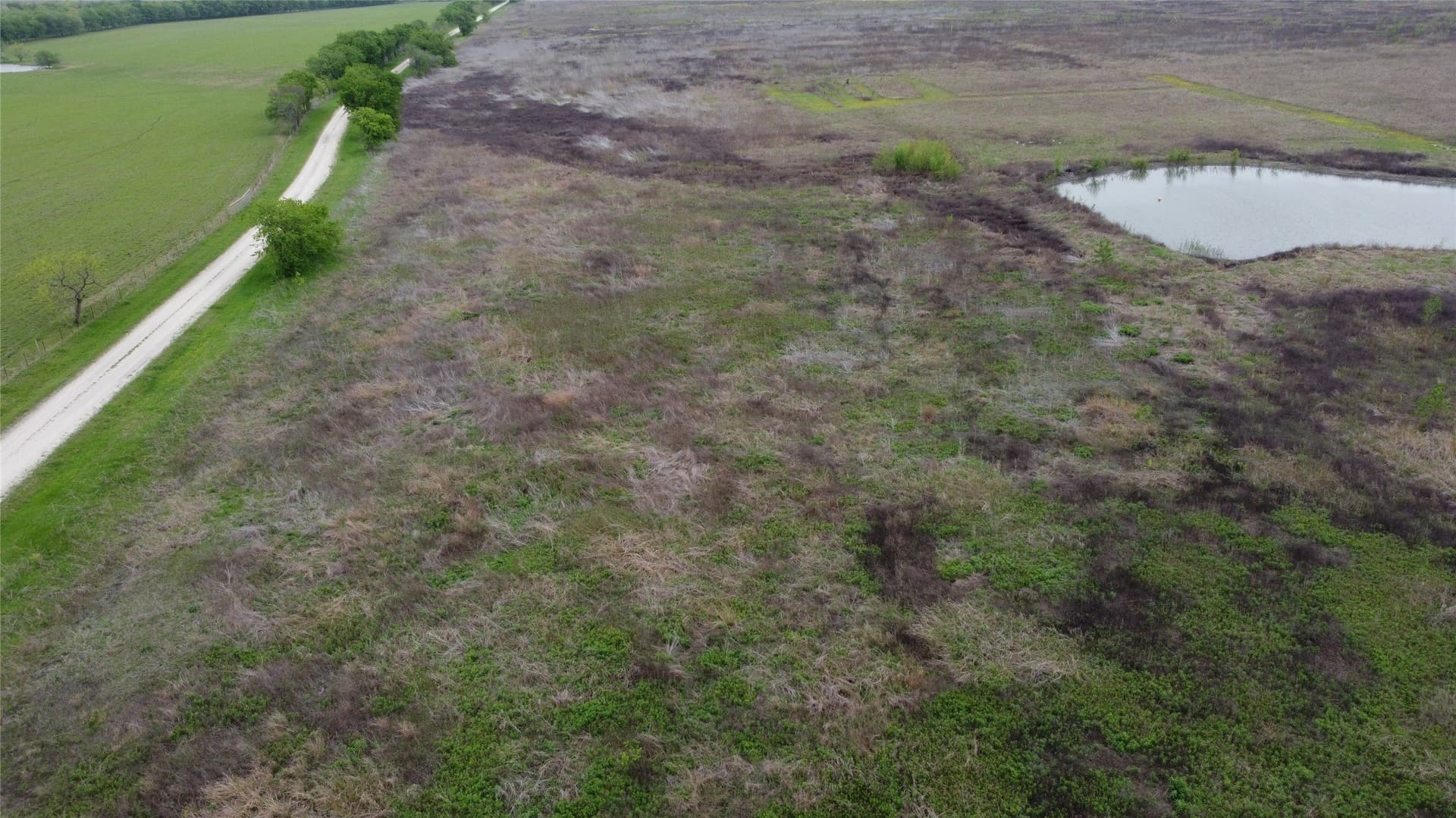 10.01 acres in Limestone County - photo 5