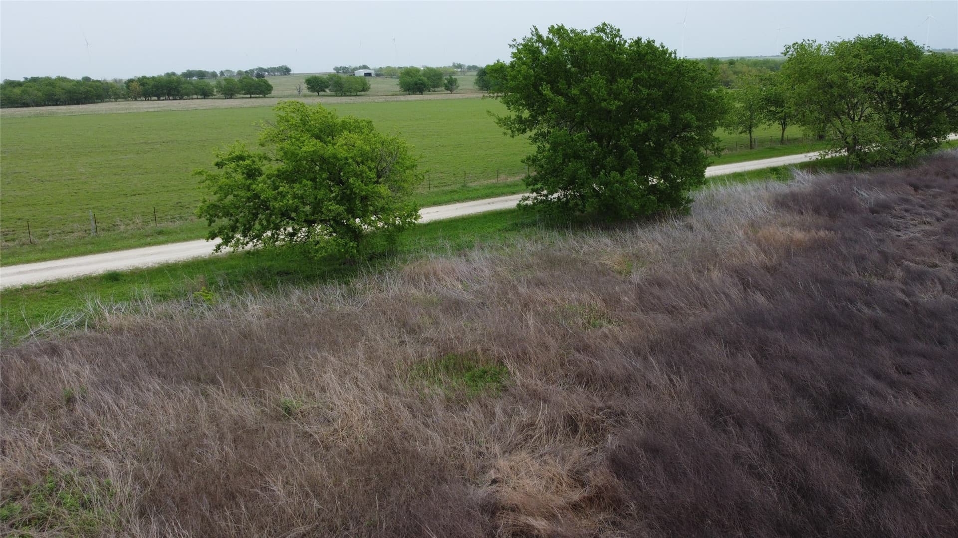 10.01 acres in Limestone County - photo 18