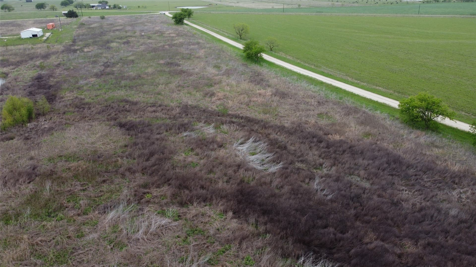 10.01 acres in Limestone County - photo 6
