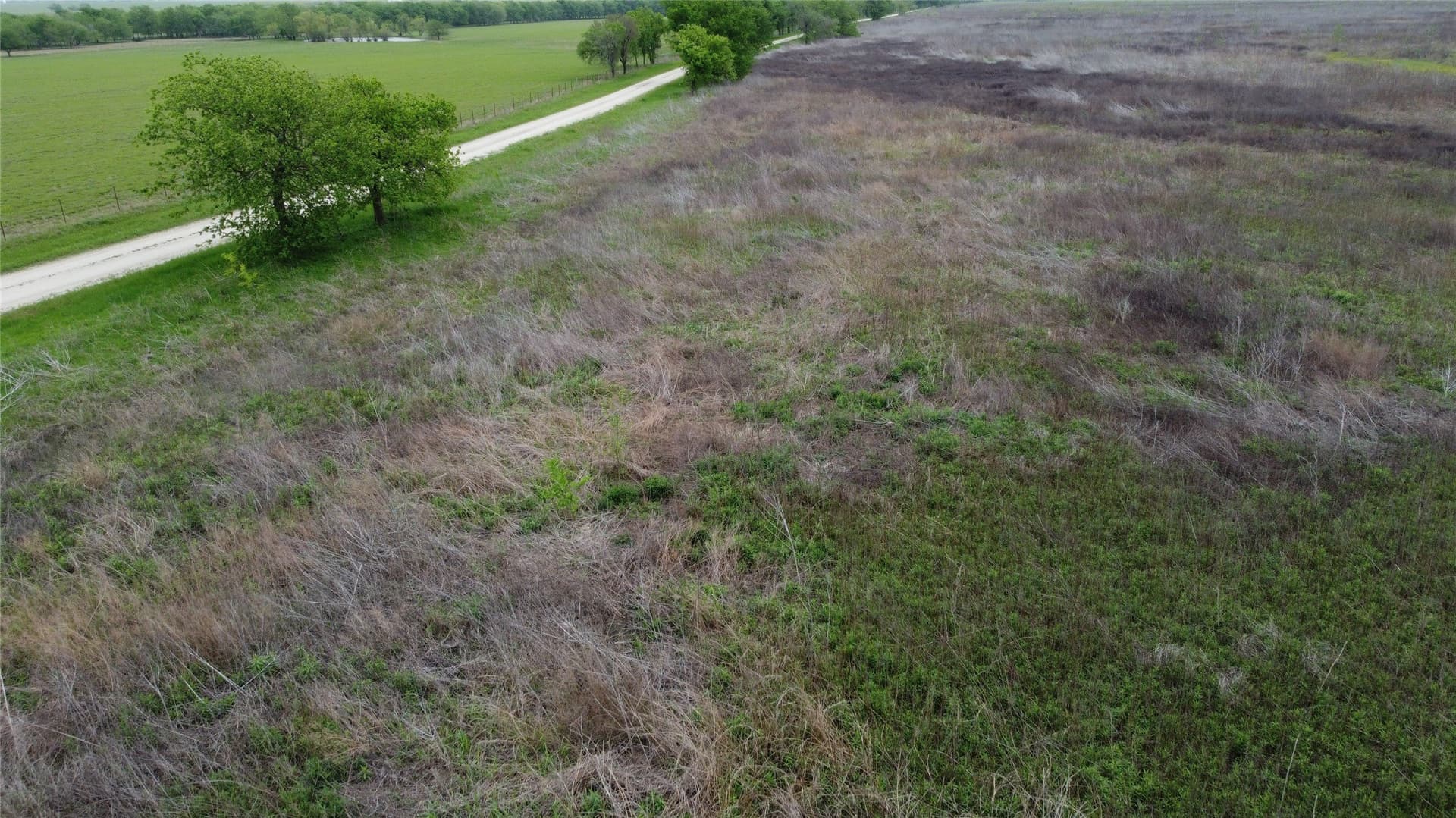 10.01 acres in Limestone County - photo 16