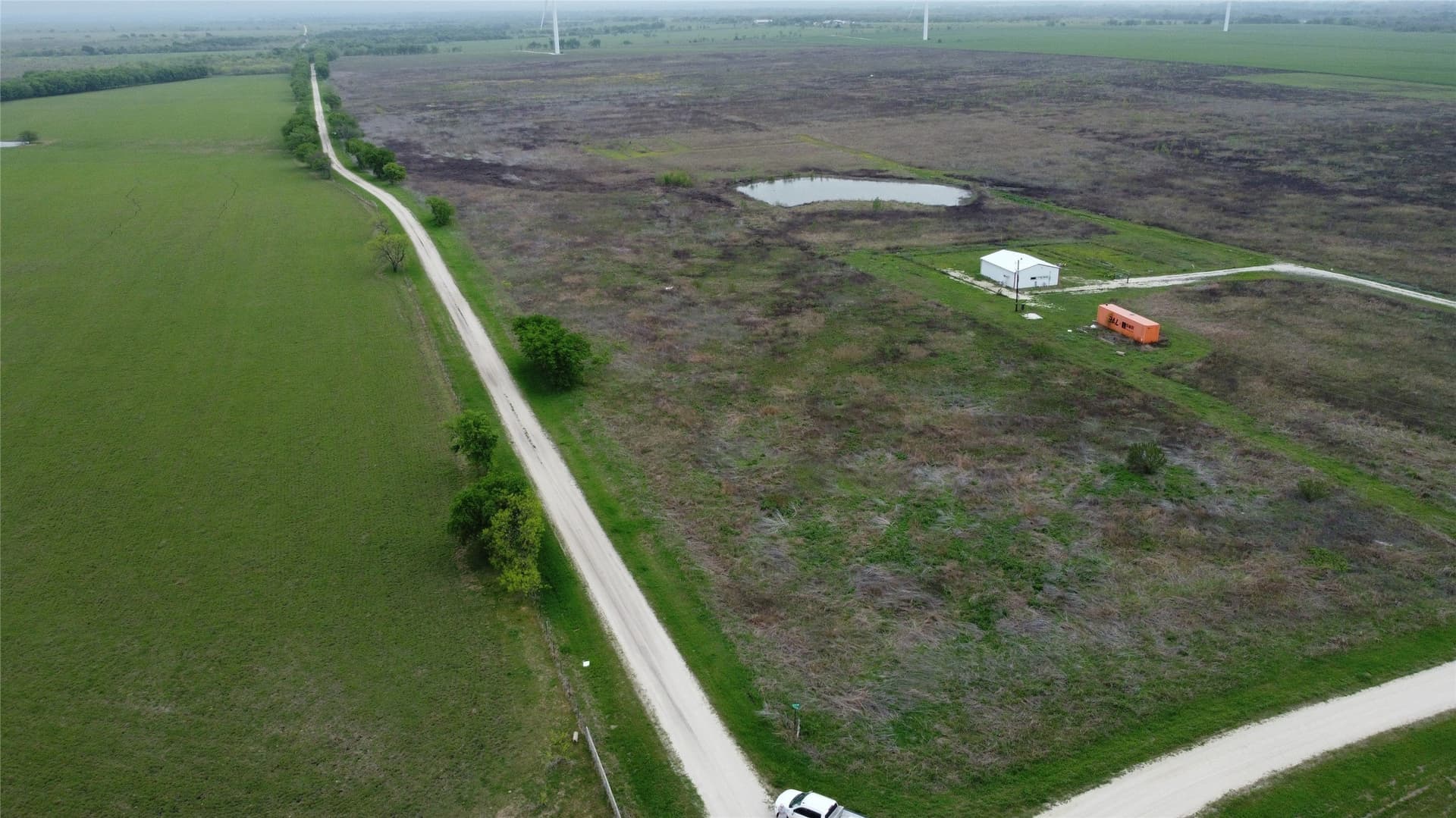 10.01 acres in Limestone County - photo 9
