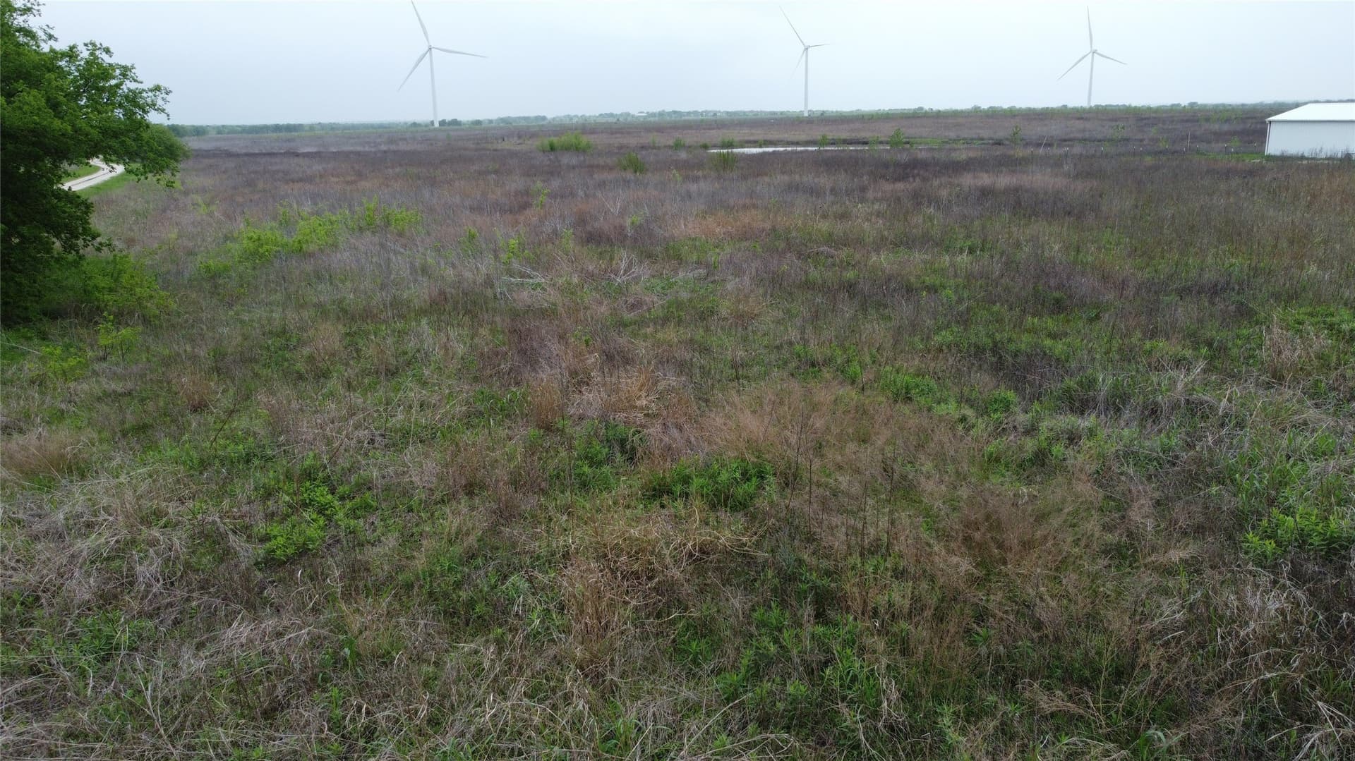 10.01 acres in Limestone County - photo 13