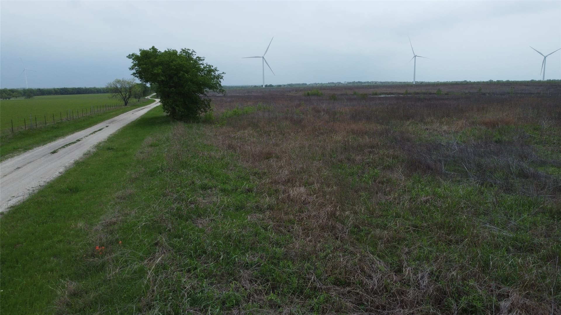 10.01 acres in Limestone County - photo 12