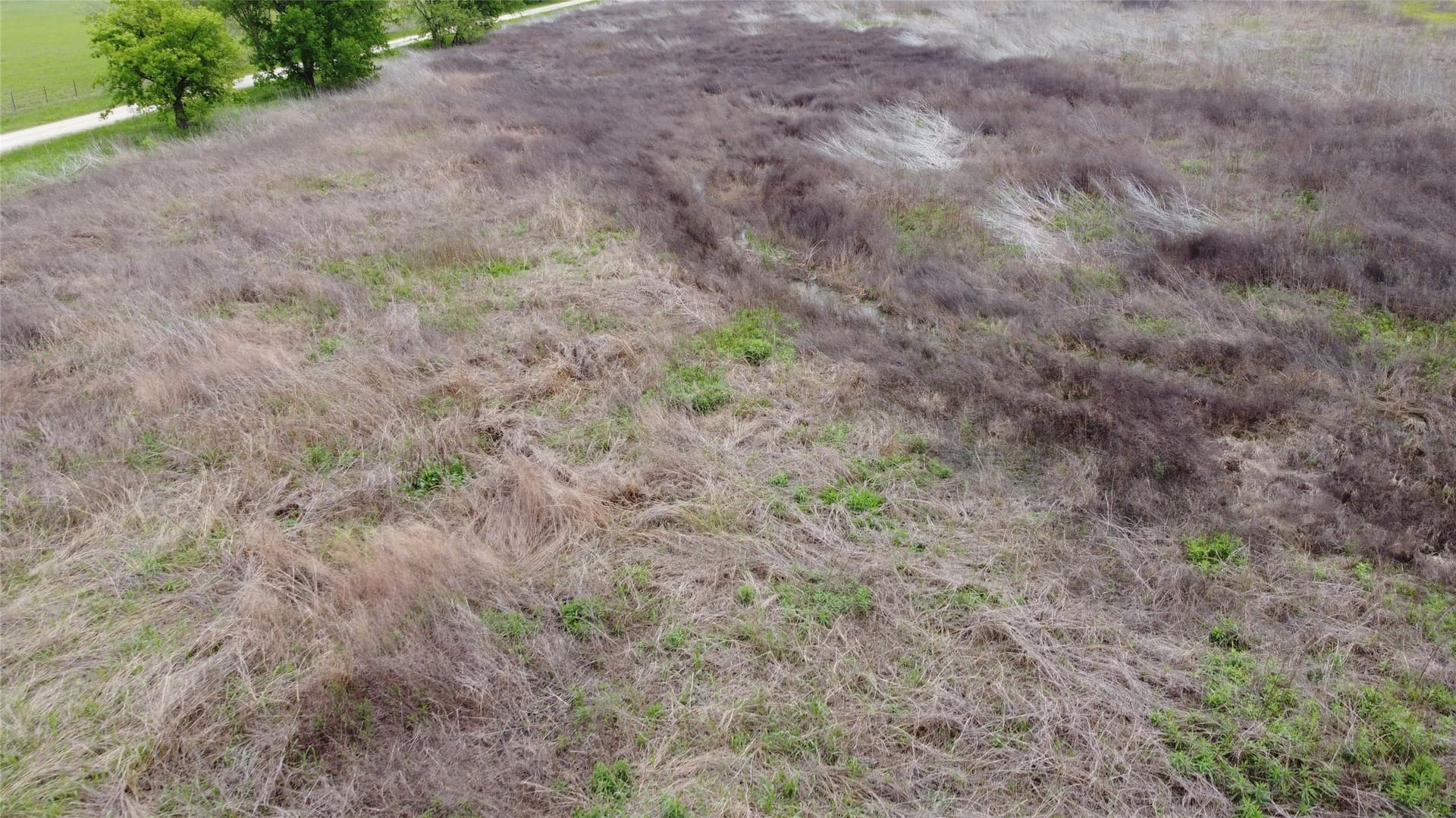 10.01 acres in Limestone County - photo 17