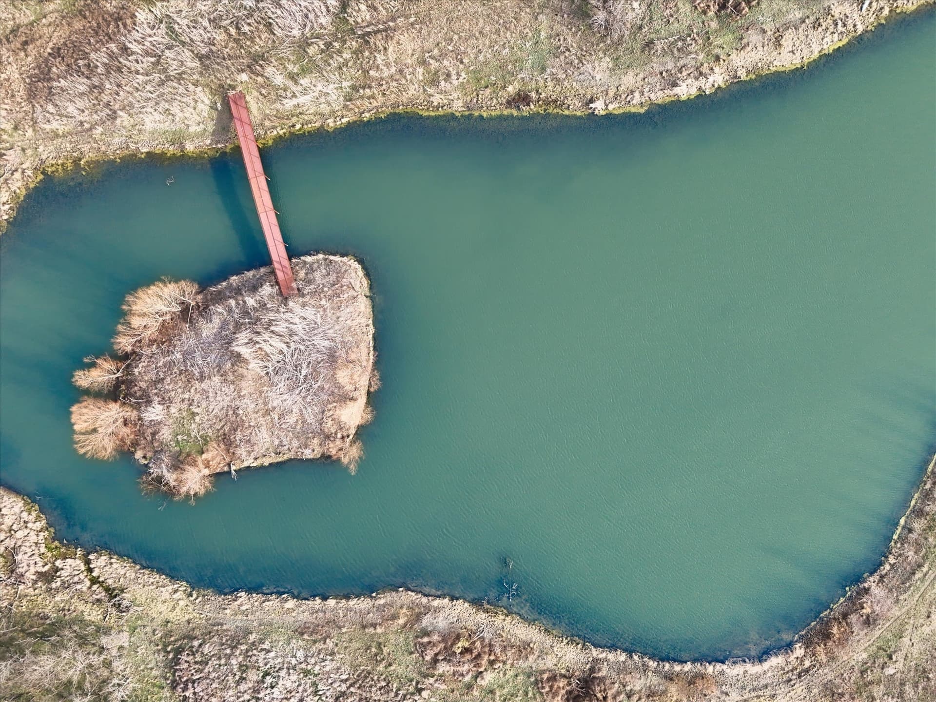 85.14 acres in McLennan County gallery image 3