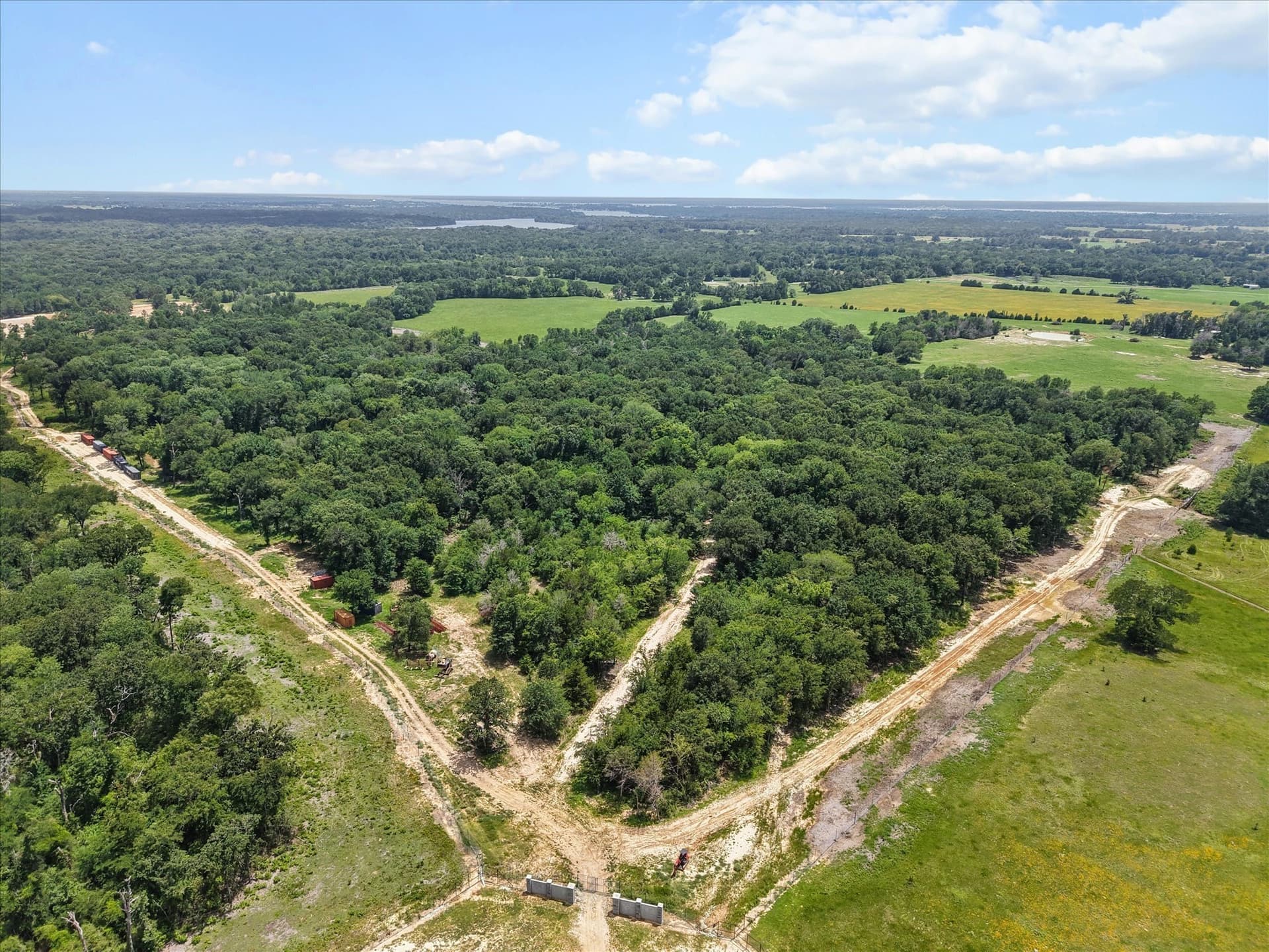 508.09 acres in Limestone County gallery image 4