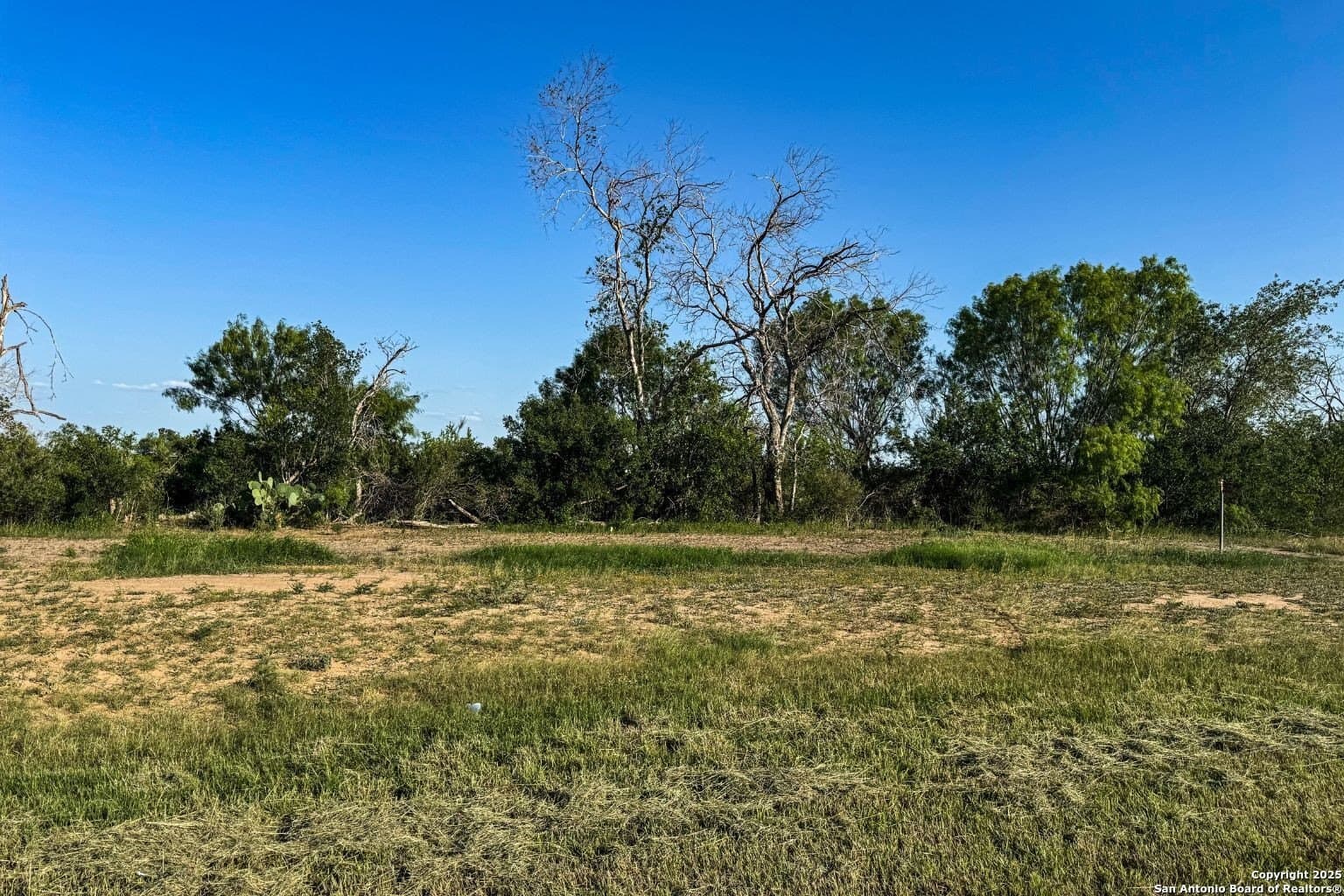 3.11 acres in Medina County gallery image 2