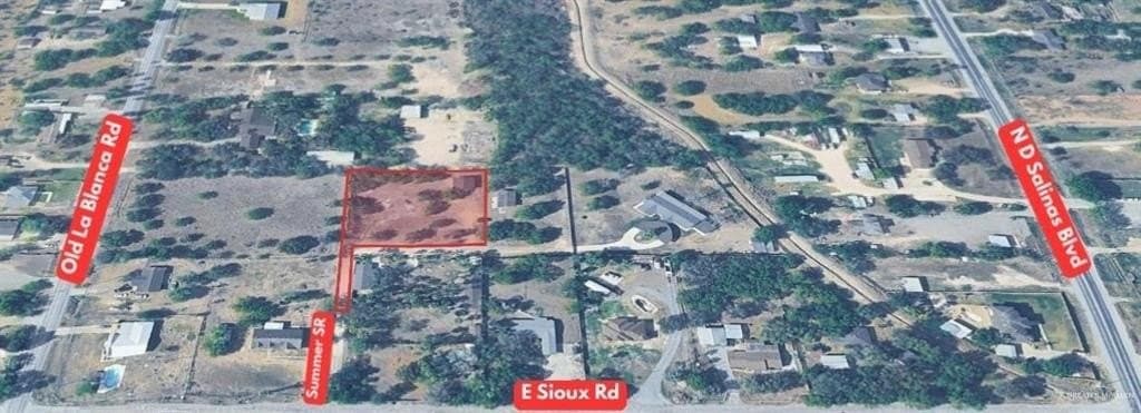 0.98 acres in Hidalgo County gallery image 2