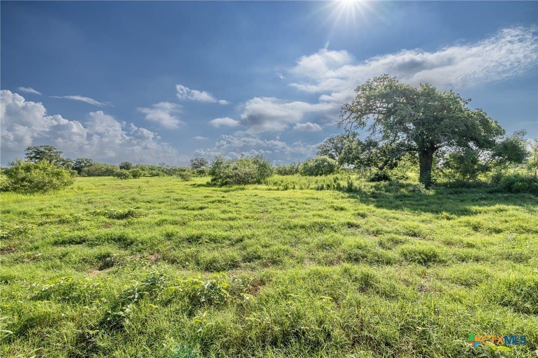 1.63 acres in Gonzales County gallery image 4