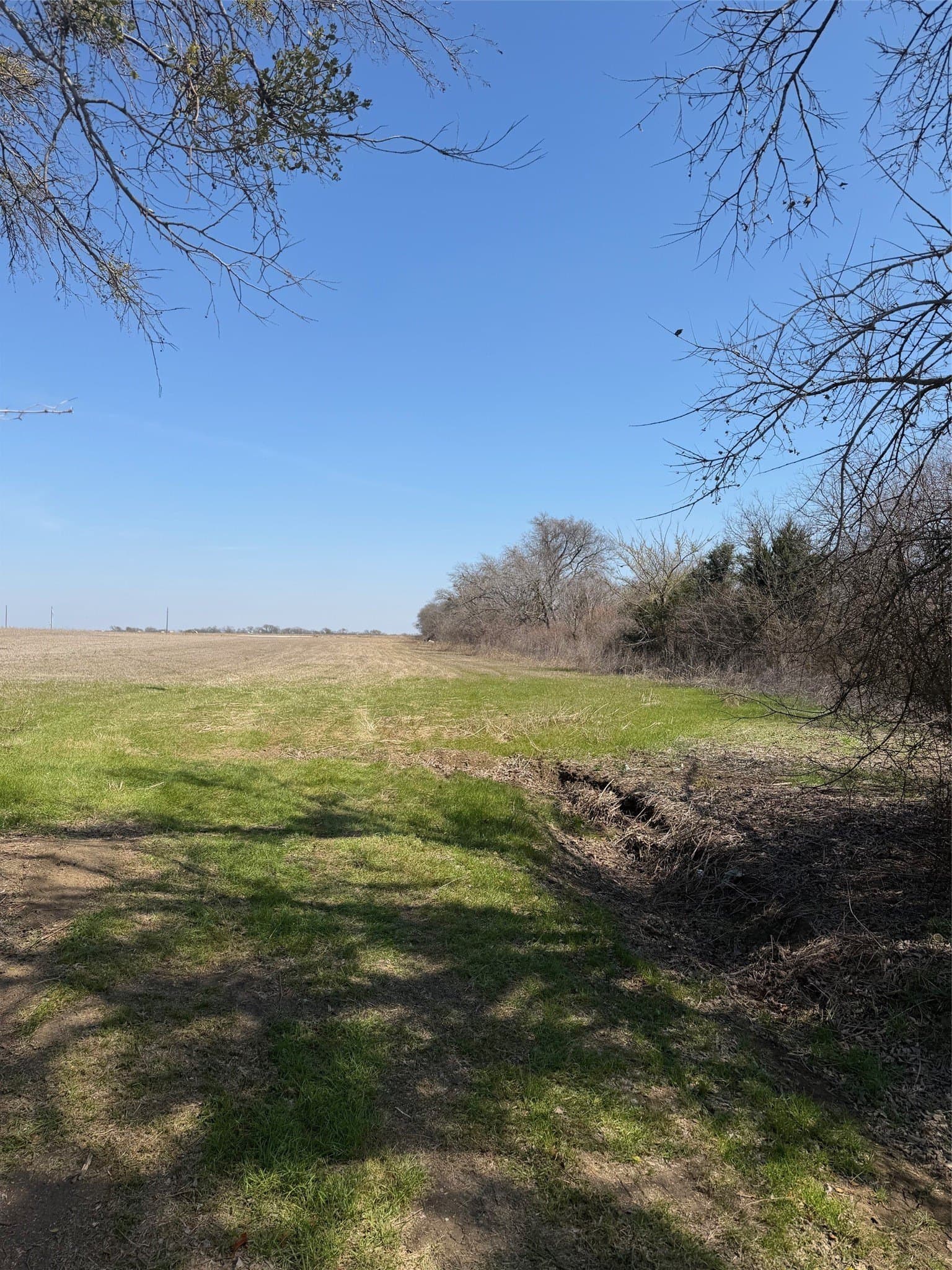 2 acres in Johnson County - photo 14