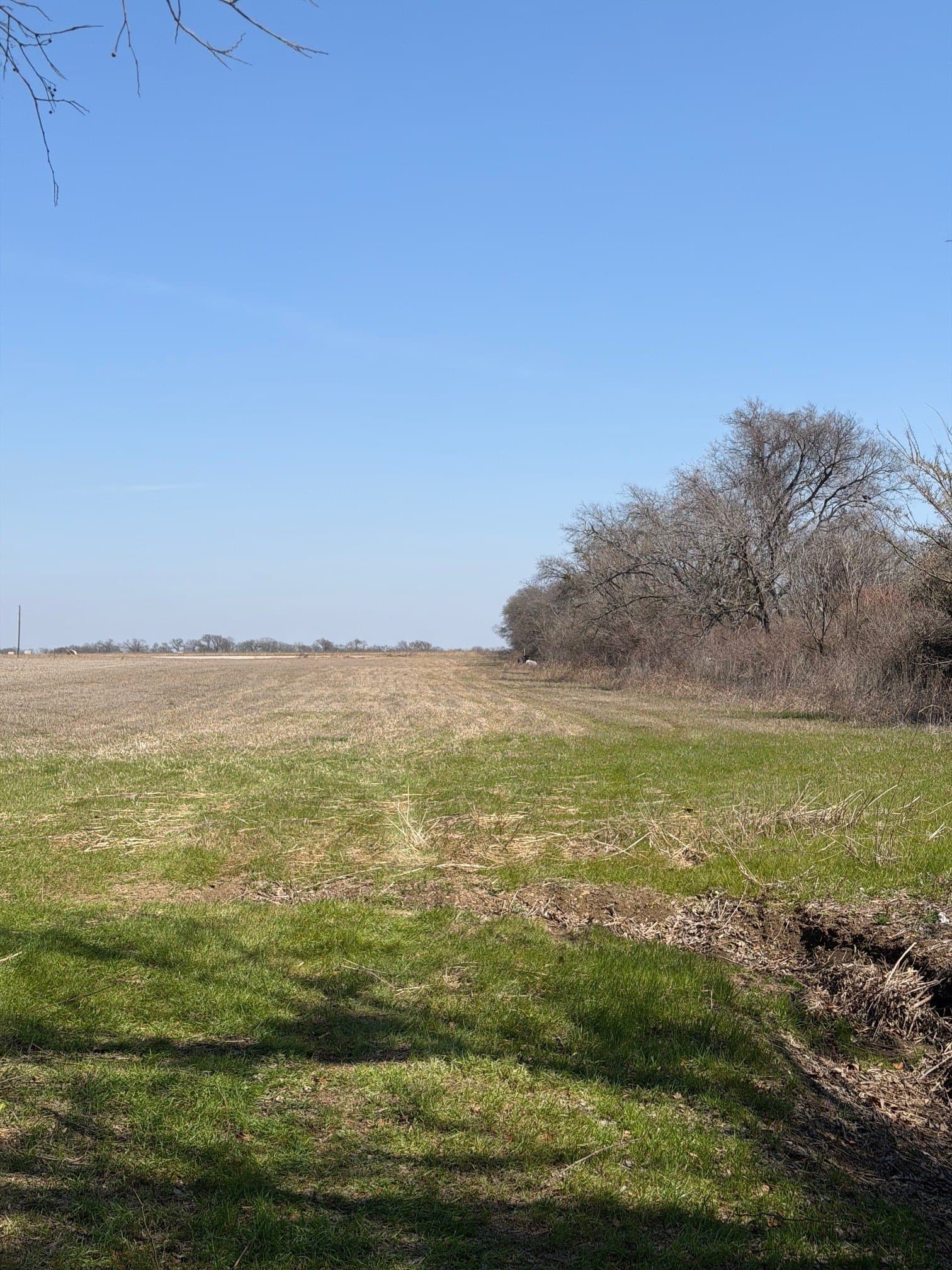 2 acres in Johnson County - photo 13
