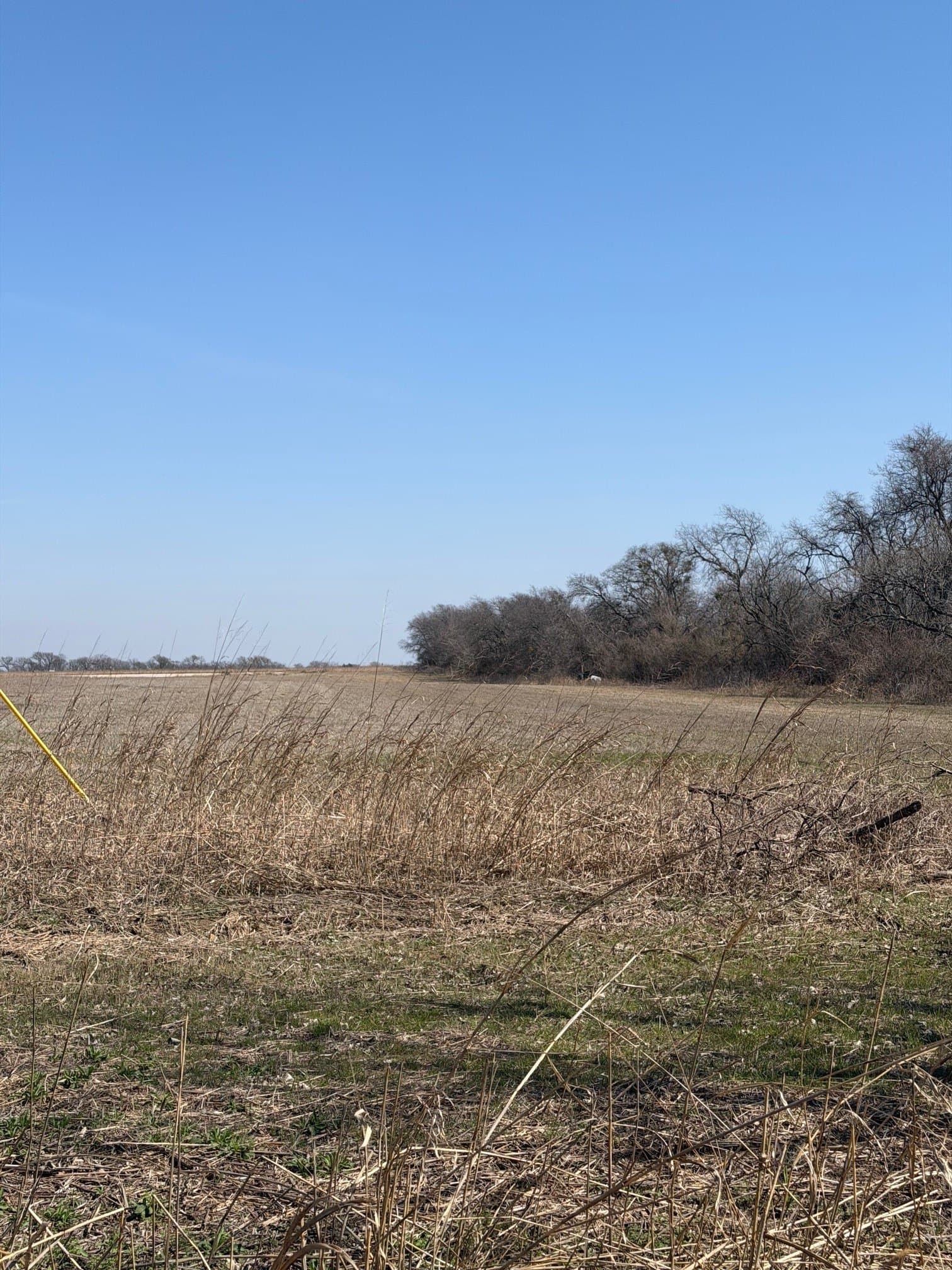 2 acres in Johnson County - photo 16