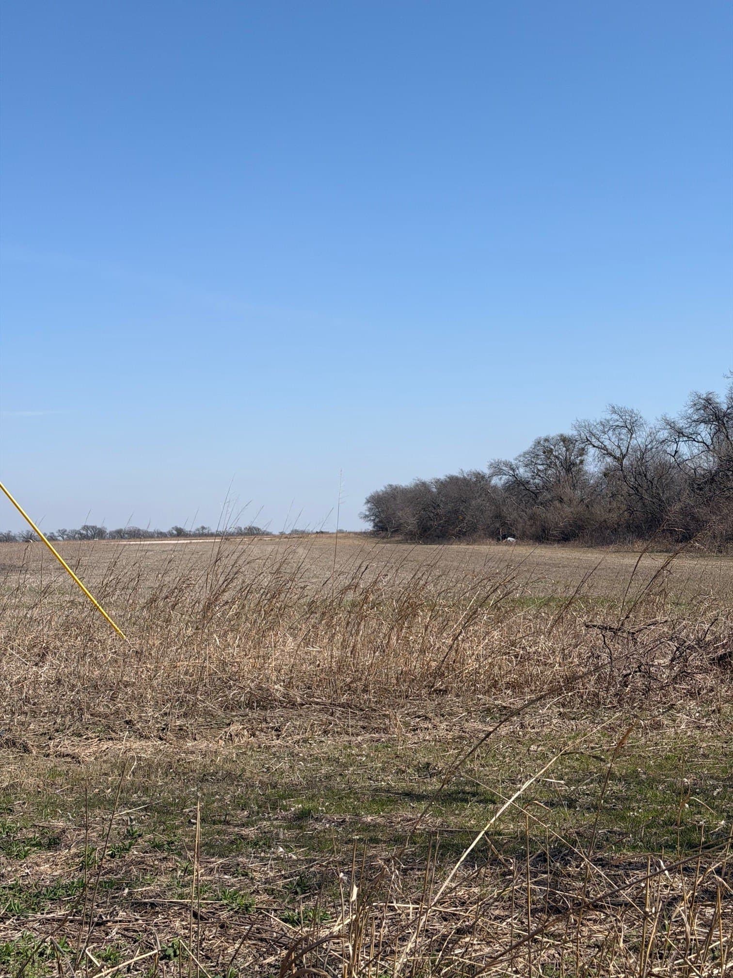 2 acres in Johnson County gallery image 2