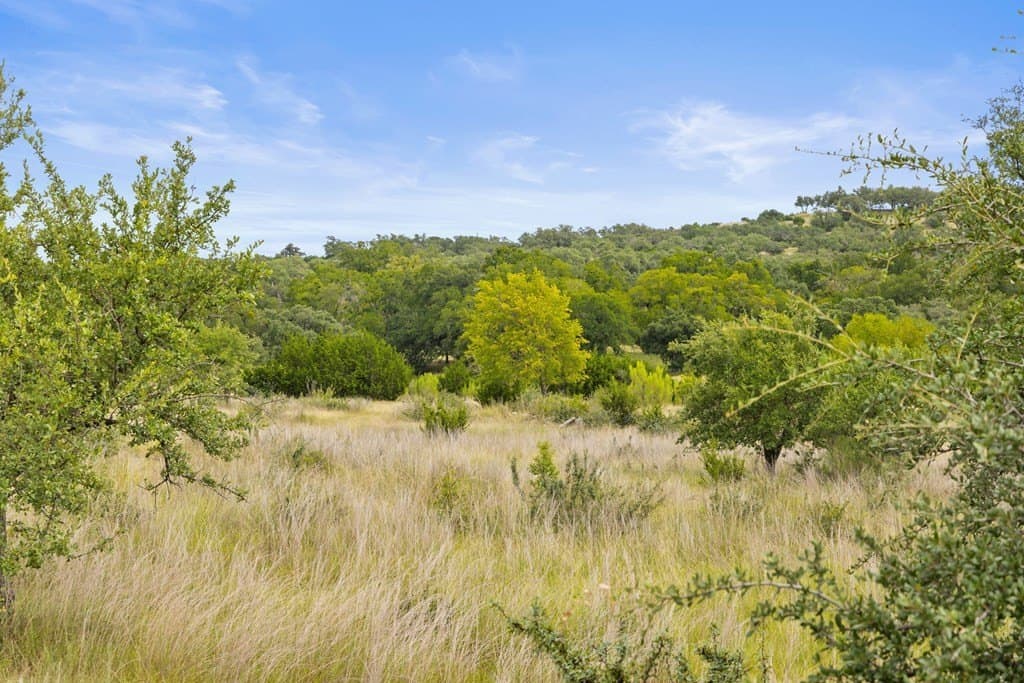 6.5 acres in Blanco County - photo 17