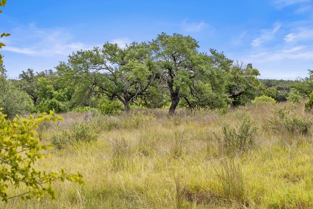 6.5 acres in Blanco County - photo 12